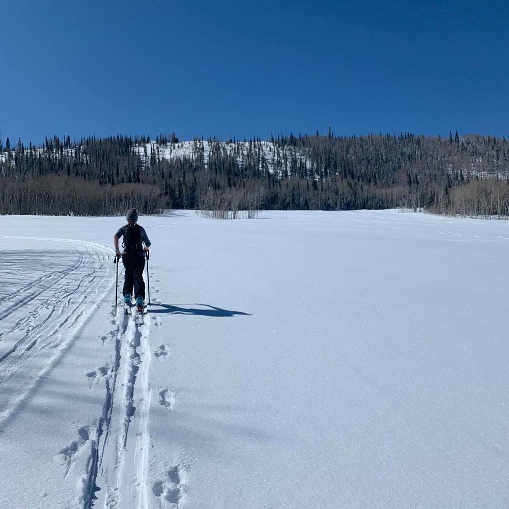 Meet your Posher, Helen